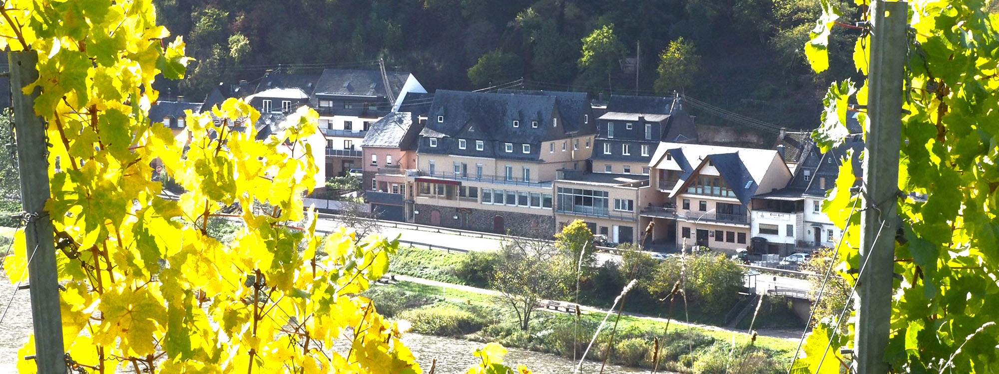 Hotel Briedeler Haus an der Mosel