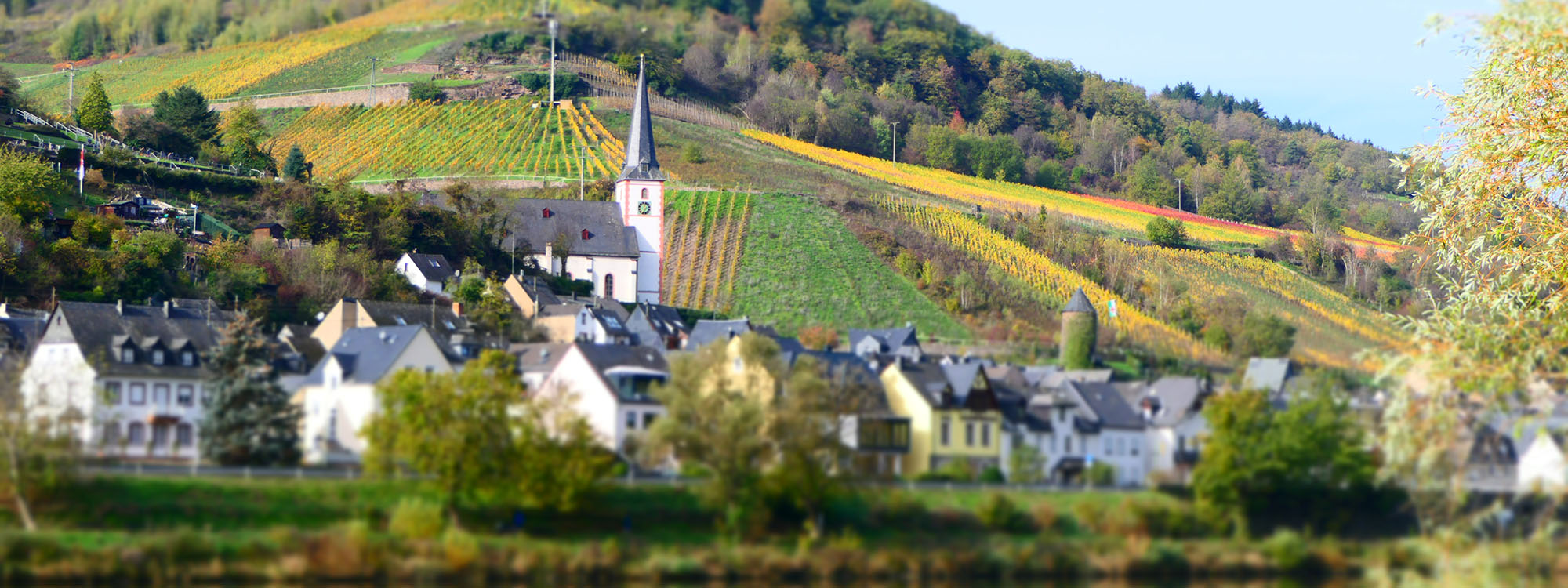 Hotel Briedeler Haus an der Mosel